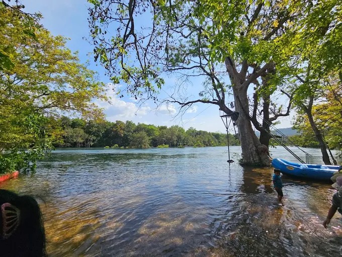 Whistling Woodz Resort